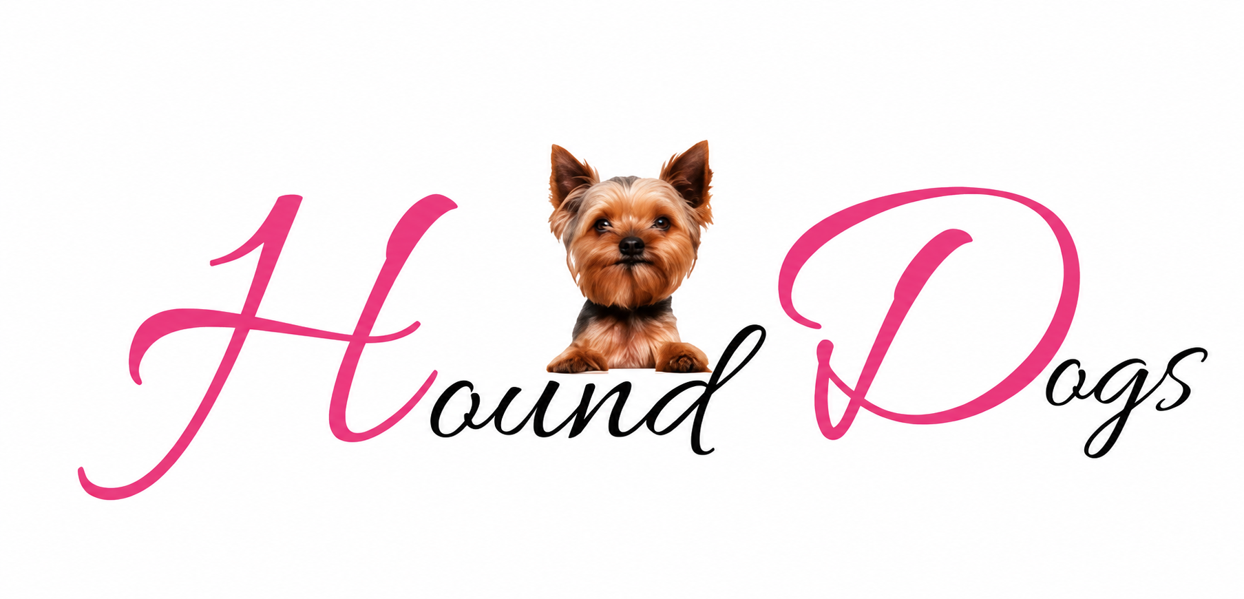 hounddogs.co.za
